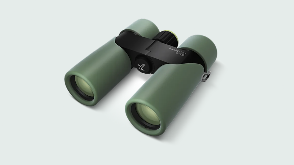 SWAROVSKI OPTIK 8x30 CL Companion III Binoculars in Mountain Green