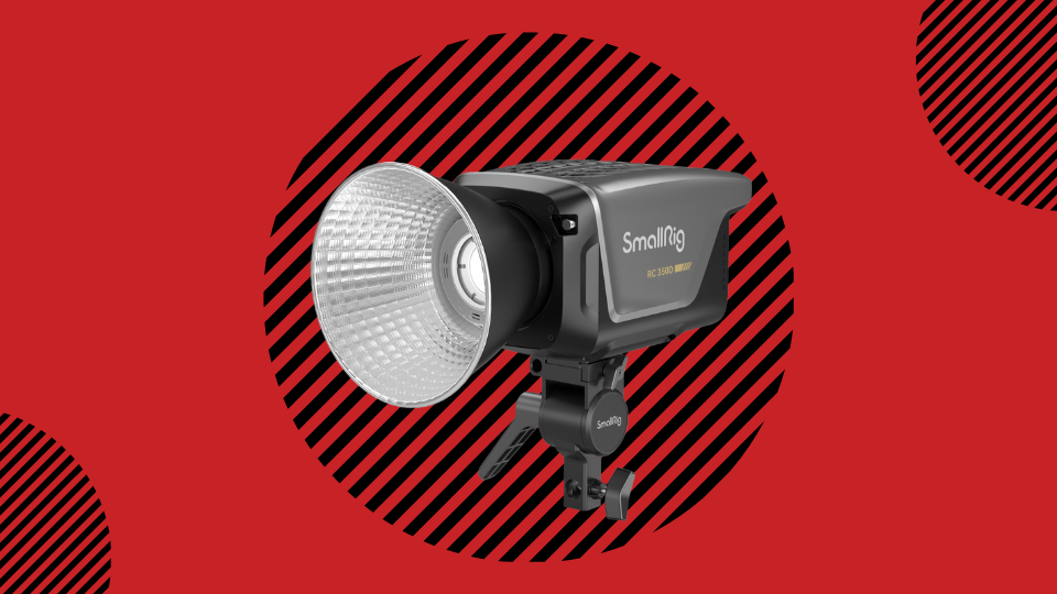 350 D Daylight COB Light