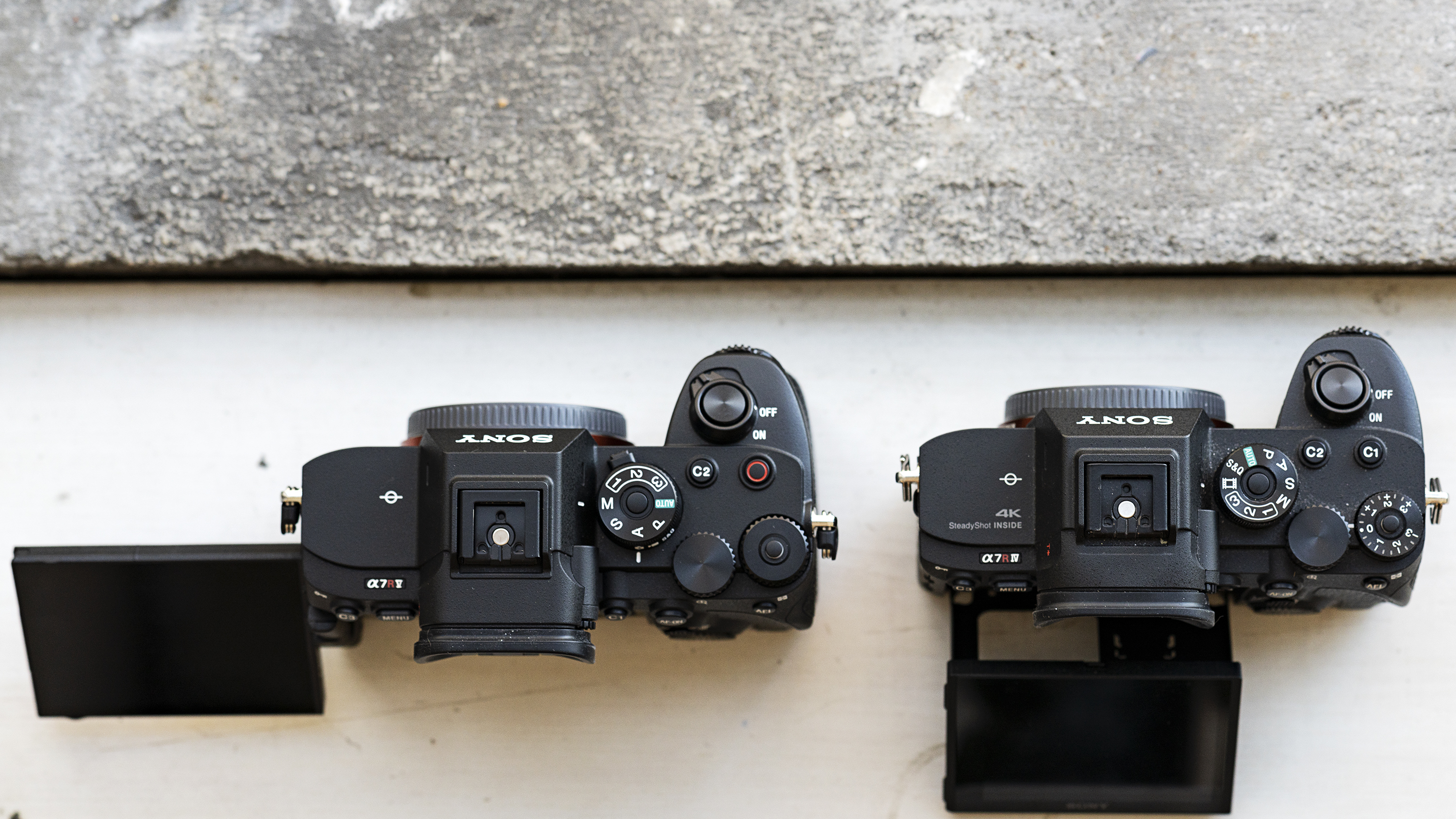 a7R V (left) vs a7R IV (right)
