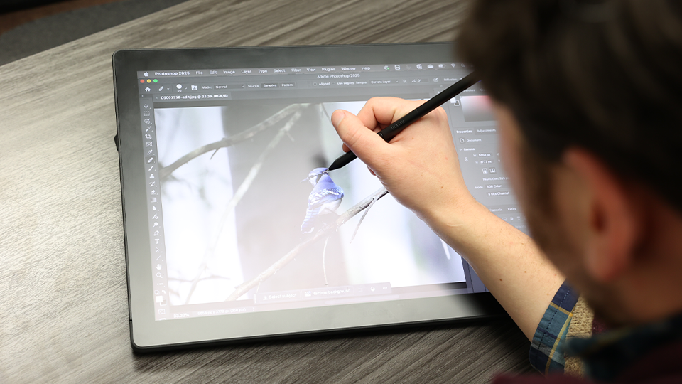 Wacom Cintiq 24 Creative Pen & Touch Display (2025) Wacom Cintiq 24 Creative Pen & Touch Display (2025)